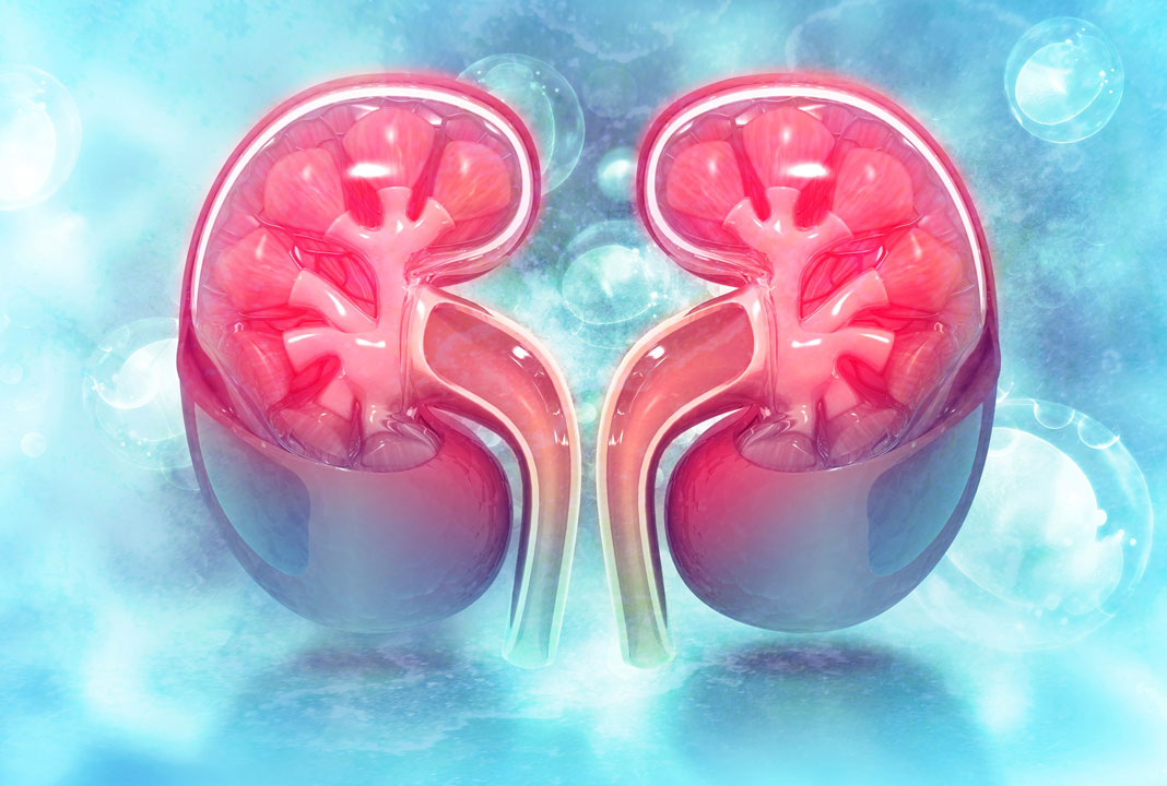 Kidney Problems Symptoms In Telugu