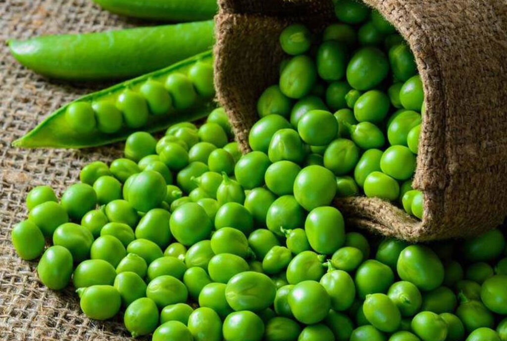 ప‌చ్చి బ‌ఠానీల‌ను రోజూ తిన‌డం వ‌ల్ల క‌లిగే 8 అద్భుత‌మైన ప్ర‌యోజ‌నాలు