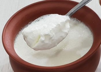 health benefits of eating curd