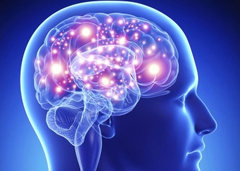 7 foods that improve the health of brain