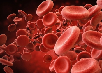 take these foods to increase platelets