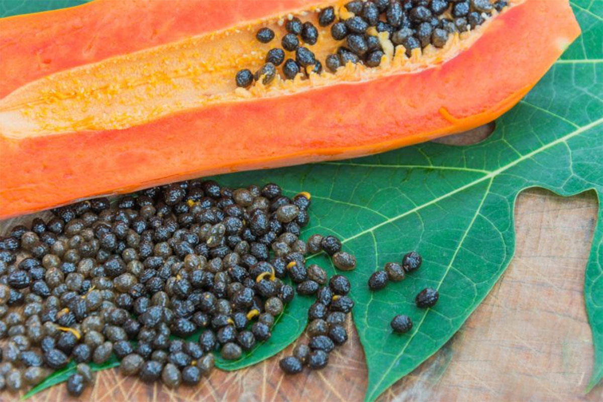 papaya-seeds