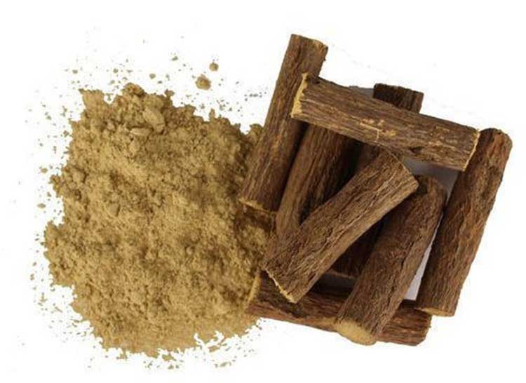 use these 5 herbs in this monsoon season to be protective from diseases