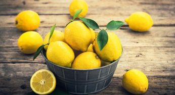 Lemon : నిమ్మకాయతో ఆరోగ్యక‌ర‌మైన‌ ప్రయోజనాలు.. జీర్ణ స‌మ‌స్య‌లు, అధిక బ‌రువుకు చెక్‌..!