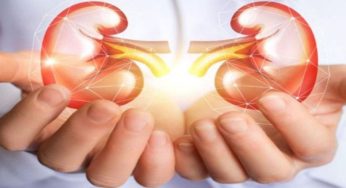 Kidneys Health : ఈ 7 అలవాట్లు కిడ్నీల‌కి హానికరం.. వెంటనే వాటిని వదిలేయండి..!