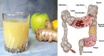 Detox Drink : పెద్ద పేగును శుభ్రం చేసే డిటాక్స్ డ్రింక్‌.. రోజూ ప‌ర‌గ‌డుపునే తాగాలి..