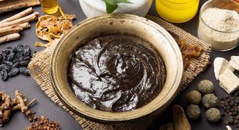 Chyawanprash : అనేక వ్యాధుల‌కు చెక్ పెట్టే చ్య‌వ‌న్‌ప్రాశ్.. ఇంట్లోనే సుల‌భంగా త‌యారు చేసుకోండిలా..!