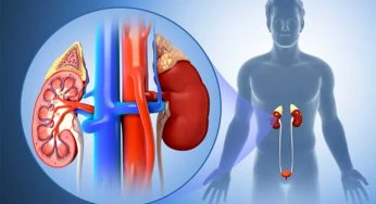 Kidneys Cleaning : కిడ్నీల్లో చేరిన వ్యర్థాలను తొలగించి కిడ్నీలను ఇలా క్లీన్‌ చేసుకోండి..!