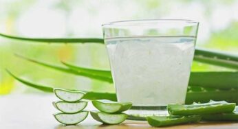 Aloe Vera : క‌ల‌బంద ర‌సాన్ని ఇలా తీసుకున్నారంటే.. బ‌రువు వేగంగా త‌గ్గుతారు..