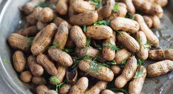 Boiled Peanuts : వేరుశెనగలను ఉడికించి రోజూ తింటే.. ఎలాంటి లాభాలు కలుగుతాయో తెలిస్తే.. అస్సలు విడిచిపెట్టరు..!