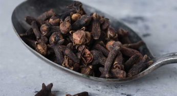 Cloves : పురుషుల్లో శృంగార సామ‌ర్థ్యాన్ని పెంచి వీర్యాన్ని ఉత్ప‌త్తి చేసే ల‌వంగాలు.. ఇలా తీసుకోవాలి..