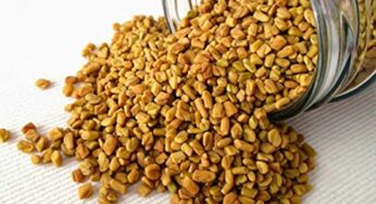 Fenugreek Seeds : మెంతుల‌ను మీ రోజువారీ ఆహారంలో చేర్చుకుంటే.. క‌లిగే అద్భుత‌మైన లాభాలివే..!