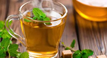 Green Tea : గ్రీన్ టీని త‌ప్పుగా త‌యారు చేసి తాగుతున్నారా ? ఇలా చేసుకుని తాగితే 20 రోజుల్లోనే కొవ్వంతా క‌రిగిపోతుంది..!