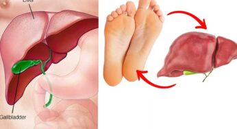 Liver Health : మీ లివ‌ర్‌లో ఏవైనా స‌మ‌స్య‌లు ఉంటే మీ పాదాలే తెలియ‌జేస్తాయి.. ఈ ల‌క్ష‌ణాలు క‌నిపిస్తాయి..!