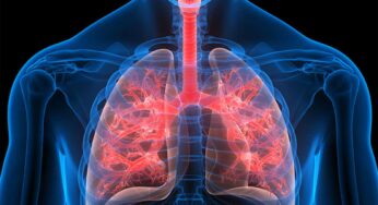 Lungs Health : ఈ ఆహారాలు ఊపిరితిత్తులను దృఢంగా చేస్తాయి.. క‌రోనాను త‌ట్టుకునే శ‌క్తిని ఇస్తాయి..