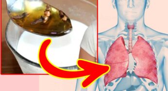 Mucus : రెండు రోజులు దీన్ని తాగండి.. క‌ఫం మొత్తం బ‌య‌ట‌కుపోతుంది..!