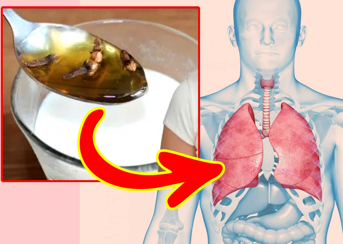 Mucus : రెండు రోజులు దీన్ని తాగండి.. క‌ఫం మొత్తం బ‌య‌ట‌కుపోతుంది ...