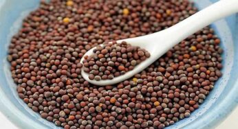 Mustard Seeds : అధిక బ‌రువును వేగంగా త‌గ్గించుకోవాల‌ని చూస్తున్నారా ? అయితే ఆవాల‌ను రోజూ తీసుకోండిలా..!