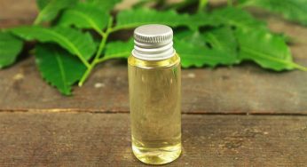 Neem Oil : ఇల్లంతా దీన్ని ఒక్కసారి చల్లితే దోమలు పరార్‌.. మళ్లీ రావు..!