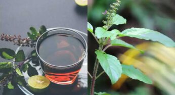 Tulasi Tea : తుల‌సి ఆకుల‌తో టీ త‌యారు చేసుకుని రోజూ తాగండి.. ఈ అద్భుత‌మైన ప్ర‌యోజ‌నాల‌ను పొంద‌వ‌చ్చు..