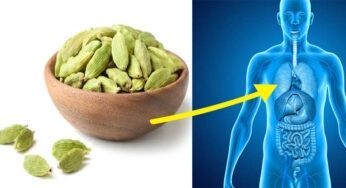 Cardamom : రోజూ పరగడుపునే యాలకులను తిని గోరు వెచ్చని నీళ్లను తాగండి.. ఈ అద్భుతమైన ప్రయోజనాలను పొందవచ్చు..!