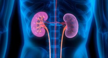 Kidneys : కిడ్నీల్లో పేరుకుపోయిన వ్య‌ర్థాల‌ను ఇలా బ‌య‌ట‌కు పంపండి.. కిడ్నీల‌ను క్లీన్ చేసుకోండి..!