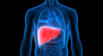 Liver : లివ‌ర్ చెడిపోతే మ‌న శ‌రీరంలో క‌నిపించే ప్ర‌ధాన‌మైన ల‌క్ష‌ణాలు ఇవే..!