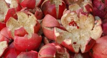 Pomegranate Peel : దానిమ్మ పండ్లను తిన్నప్పుడు ఇకపై తొక్కలను పడేయకండి.. ఈ 8 అద్భుతమైన లాభాలను పొందవచ్చు..!