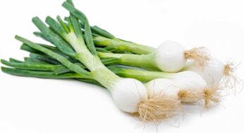 Spring Onions : దగ్గు, జలుబు, కొలెస్ట్రాల్‌, హైబీపీ.. అన్నింటికీ ఉల్లికాడలతో చెక్‌..!