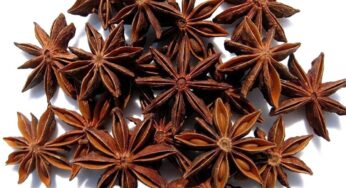 Star Anise : అనాస పువ్వులోని ఆరోగ్య రహస్యాలు ఇవి.. అద్భుతమైన ఔషధ గుణాలు ఉంటాయి..!