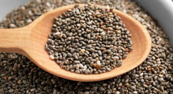 Chia Seeds : చియా సీడ్స్‌ను రోజూ పిల్ల‌ల‌కు క‌చ్చితంగా తినిపించాల్సిందే.. ఎందుకంటే..?