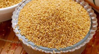 Foxtail Millets : కొర్రలను రోజూ తింటే అద్భుతమైన ప్రయోజనాలు..!