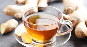 Ginger Tea : అల్లం టీని ఇలా త‌యారు చేసుకుని రోజుకు 2 సార్లు తాగితే.. ఏ వ్యాధి రాదు..!