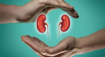 World Kidney Day 2022 : ఈ ఆహారాల‌ను రోజూ తిన్నారంటే.. మీ కిడ్నీలు ఎంతో ఆరోగ్యంగా ఉంటాయి..!