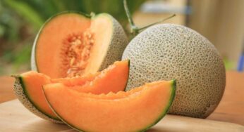 Muskmelon : త‌ర్బూజాల‌తో ఎన్ని లాభాలు క‌లుగుతాయో తెలిస్తే.. అస్స‌లు విడిచి పెట్ట‌రు..!