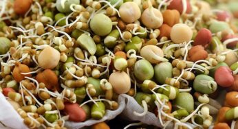 Sprouts : వాస‌న లేకుండా మొల‌క‌ల‌ను వేగంగా త‌యారు చేసుకోవాలంటే.. ఈ సింపుల్ చిట్కాలు పాటించండి చాలు..!