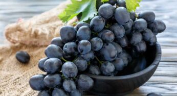 Black Grapes : రోజూ ఉద‌యం ఒక క‌ప్పు న‌ల్ల‌ ద్రాక్ష‌ల‌ను తింటే.. చెప్ప‌లేనన్ని లాభాలు క‌లుగుతాయి..!