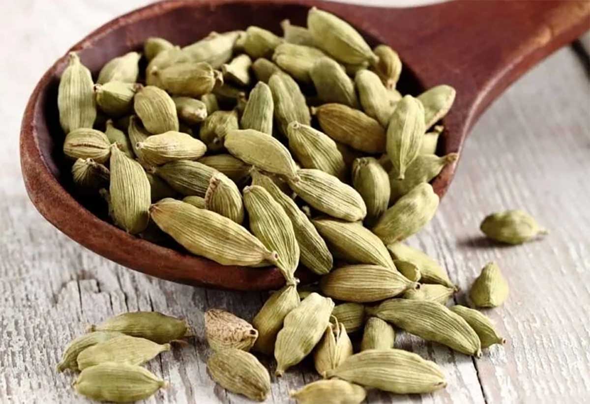 Cardamom : రోజూ రాత్రి 2 యాల‌కుల‌ను తినాల్సిందే.. ఏం జ‌రుగుతుందో తెలుసా ...