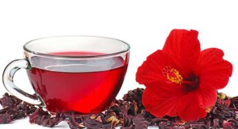 Hibiscus Flower Tea : మందార పువ్వులతో టీ.. రోజుకు ఒక కప్పు తాగినా చాలు..!