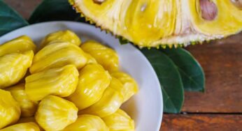 Jackfruit : ప‌న‌స పండ్ల‌ను తింటే ఎన్ని అద్భుతమైన లాభాలు క‌లుగుతాయో తెలుసా ? అసలు విడిచిపెట్ట‌రు..!