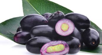 Jamun Fruit : వీటిని రోజూ తింటే చాలు, రోగ నిరోధ‌క శ‌క్తి అమాంతం పెరుగుతుంది.. ఇంకా ఎన్నో లాభాలు..!