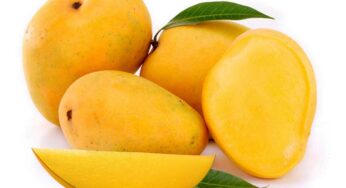 Mango Pulp : మామిడి పండ్ల‌ను తొక్క‌తో స‌హా తినాల్సిందే.. లేదంటే న‌ష్ట‌పోతారు..!