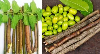 Neem Stick : వేప పుల్ల‌ల‌తో దంతాల‌ను తోమితే ఎన్ని లాభాలు క‌లుగుతాయో తెలిస్తే.. అస‌లు టూత్ బ్ర‌ష్ వాడ‌రు..!