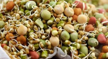 Sprouts : ఏయే మొల‌క‌ల‌ను రోజుకు ఎన్ని తినాలో తెలుసా ?