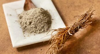 Vetiver Powder : ఈ పొడిని రోజూ తీసుకుంటే వేడి ఇట్టే త‌గ్గిపోతుంది.. ఇంకా ఎన్నో అద్భుత‌మైన లాభాలు..!