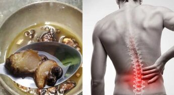 Back Pain : నడుం నొప్పి.. ఎలాంటి నొప్పి అయినా.. ఎముకలు బలహీనంగా ఉన్నా.. దీన్ని వాడి చూడండి..!