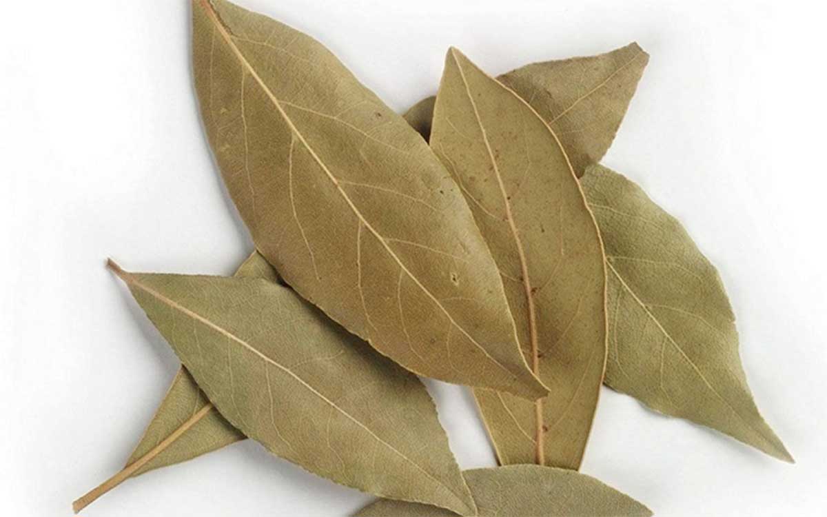 Bay Leaf బిర్యానీ ఆకుతో ఇన్ని లాభాలా.. తెలిస్తే వెంట‌నే ఇంటికి