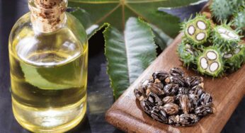 Castor Oil : ఆముదాన్ని ఇలా ఉప‌యోగిస్తే.. జుట్టు స‌హ‌జ‌సిద్ధంగా న‌ల్ల‌గా మారుతుంది..!