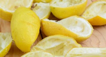 Lemon Peel : నిమ్మ‌కాయ తొక్క‌ల‌ను ప‌డేస్తున్నారా ? ఈ లాభాలు తెలిస్తే ఇక‌పై అలా చేయరు..!