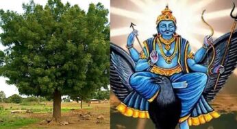 Neem Tree : శ‌నిదోషం పోయి శ‌ని అనుగ్ర‌హం పొందాలంటే.. వేప చెట్టు ఉప‌యోగ‌ప‌డుతుంది.. దాంతో ఏం చేయాలో తెలుసా..?